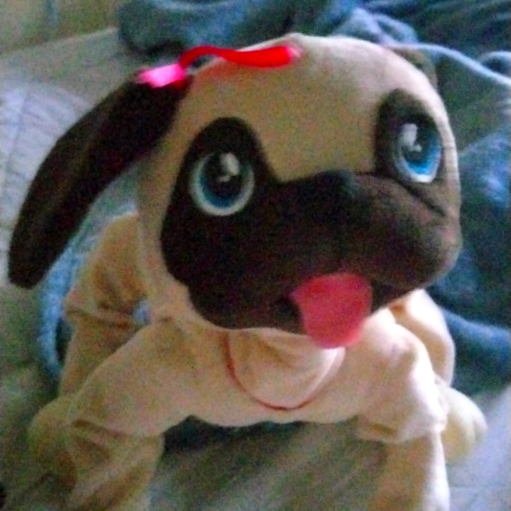 Cute little kids dog toy